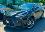 Lexus NX Series