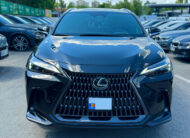 Lexus NX Series