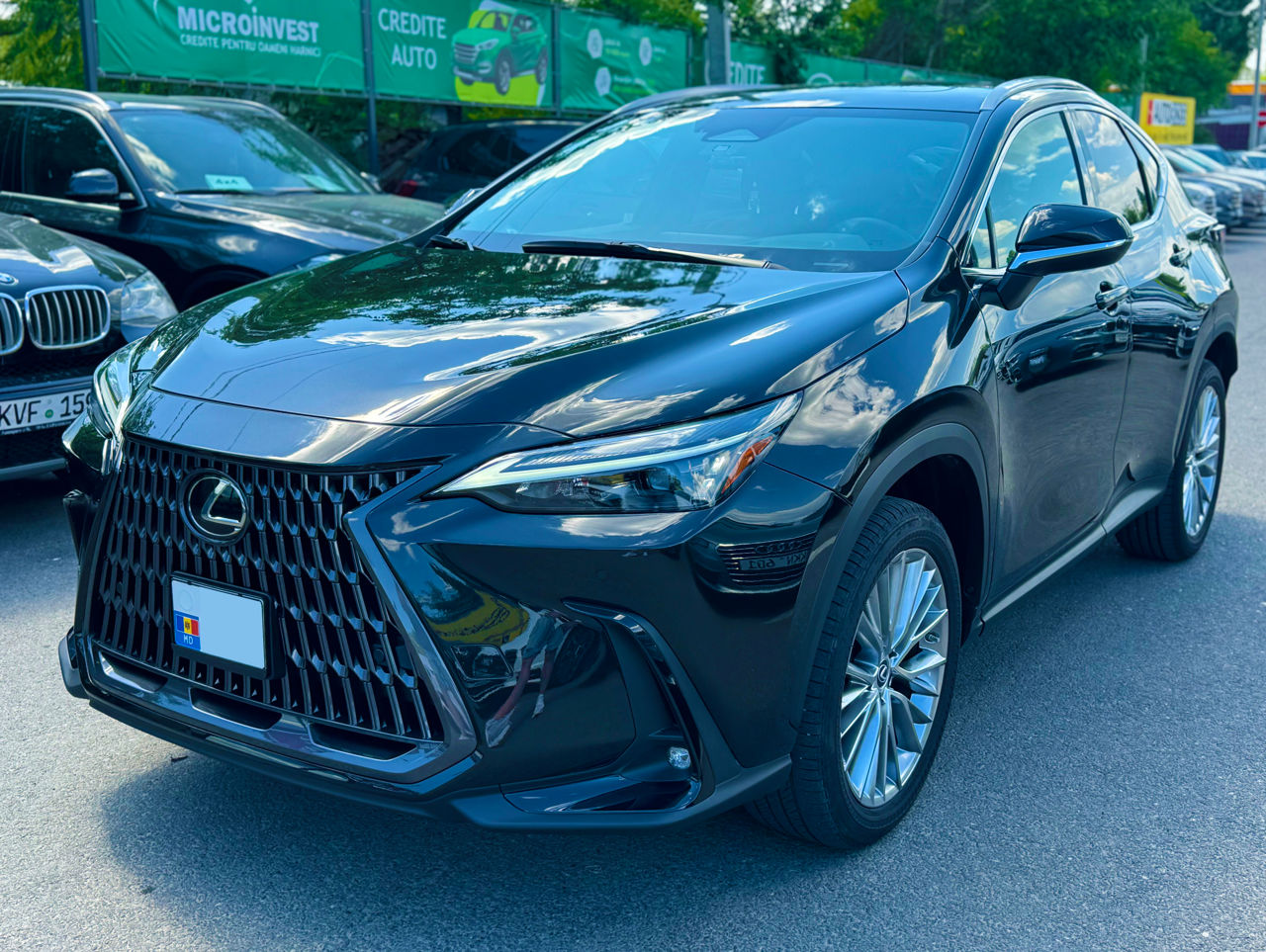 Lexus NX Series