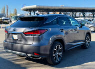 Lexus RX Series