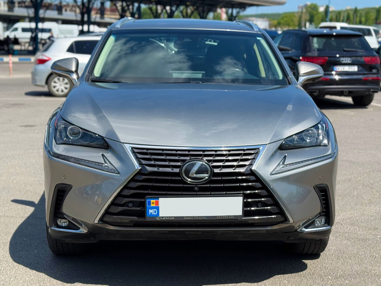 Lexus NX Series