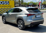 Lexus NX Series